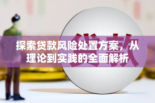 海南探索贷款风险处置方案，从理论到实践的全面解析