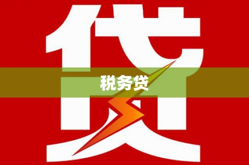 海南税务贷