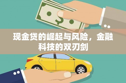 海南现金贷的崛起与风险，金融科技的双刃剑