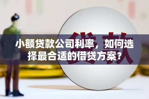 海南小额贷款公司利率，如何选择最合适的借贷方案？