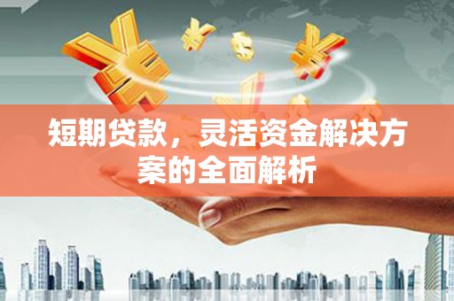 海南短期贷款，灵活资金解决方案的全面解析