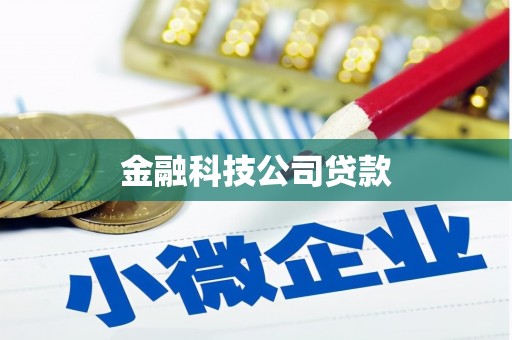 海南金融科技公司贷款