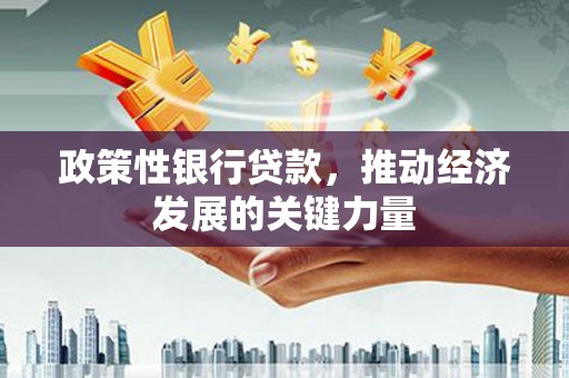 海南政策性银行贷款，推动经济发展的关键力量