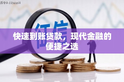 海南快速到账贷款，现代金融的便捷之选