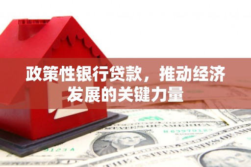 海南政策性银行贷款，推动经济发展的关键力量