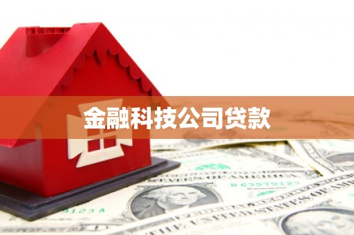 海南金融科技公司贷款