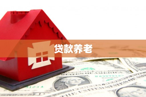 海南贷款养老