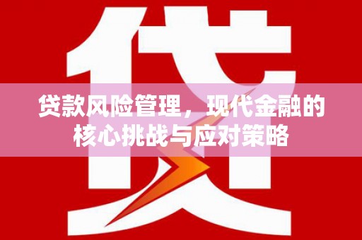海南贷款风险管理，现代金融的核心挑战与应对策略