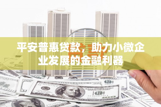 海南平安普惠贷款，助力小微企业发展的金融利器