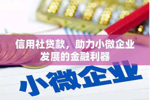 海南信用社贷款，助力小微企业发展的金融利器