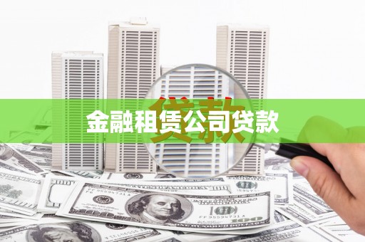 海南金融租赁公司贷款