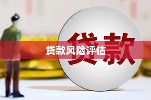 海南贷款风险评估