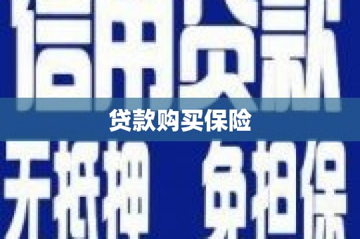 海南贷款购买保险