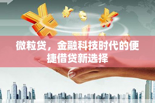 海南微粒贷，金融科技时代的便捷借贷新选择
