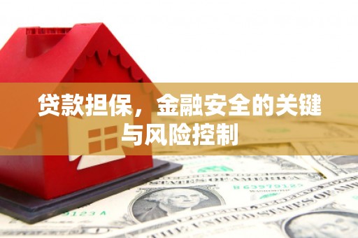 海南贷款担保，金融安全的关键与风险控制