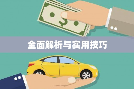 海南全面解析与实用技巧