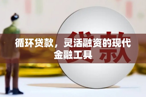 海南循环贷款，灵活融资的现代金融工具