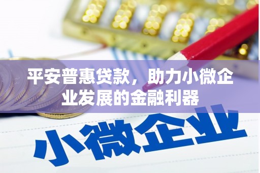 海南平安普惠贷款，助力小微企业发展的金融利器