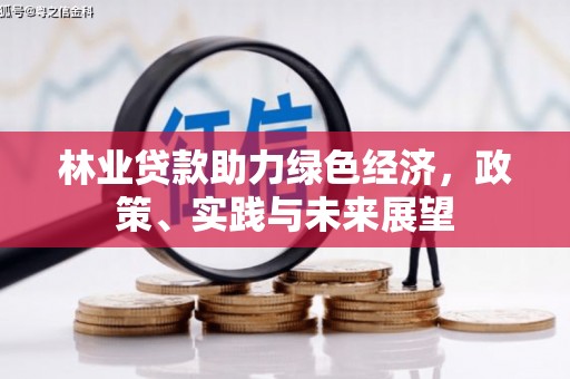 海南林业贷款助力绿色经济，政策、实践与未来展望