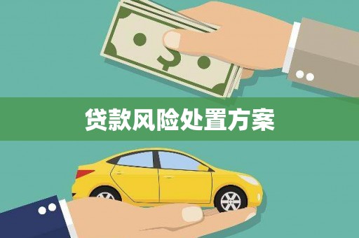 海南贷款风险处置方案