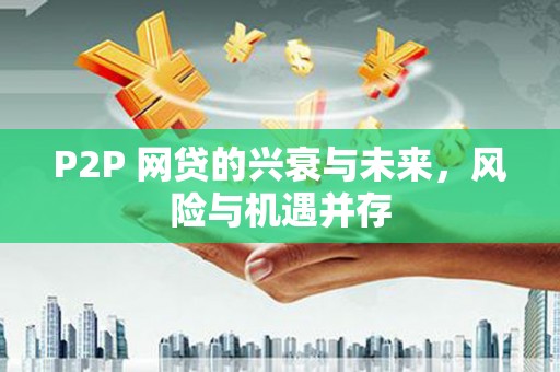 海南P2P 网贷的兴衰与未来，风险与机遇并存