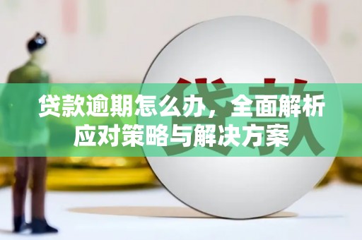 海南贷款逾期怎么办，全面解析应对策略与解决方案
