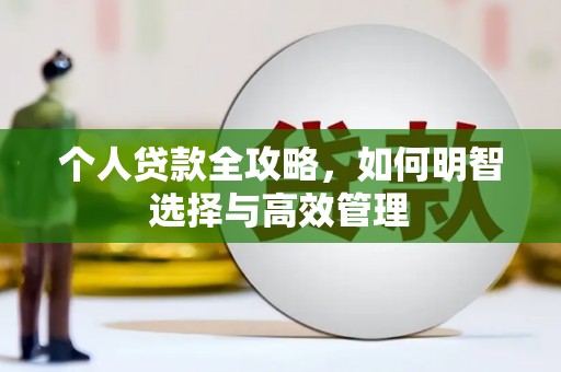 海南个人贷款全攻略，如何明智选择与高效管理