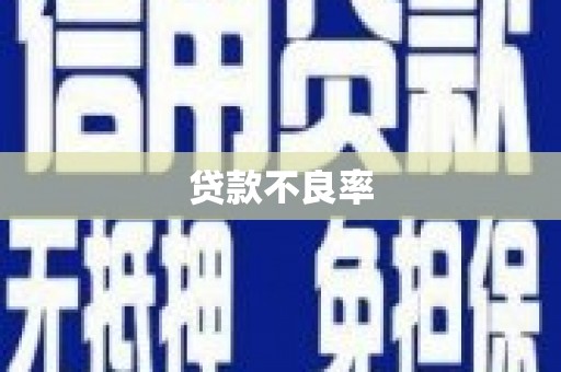 海南贷款不良率