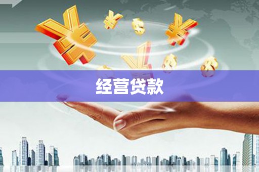 海南经营贷款
